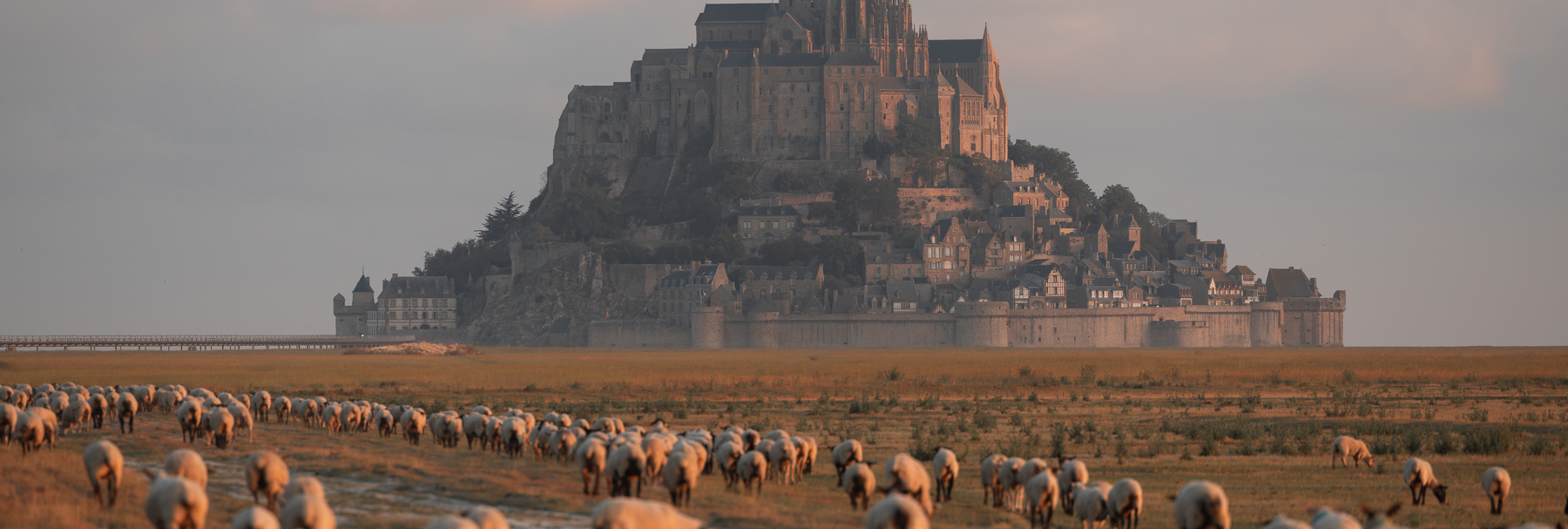 Copyright : Pierre Galliot - Normandie