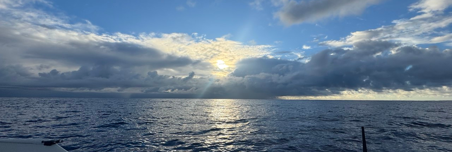 c40_Alternative_2025-11-10_06.57.06