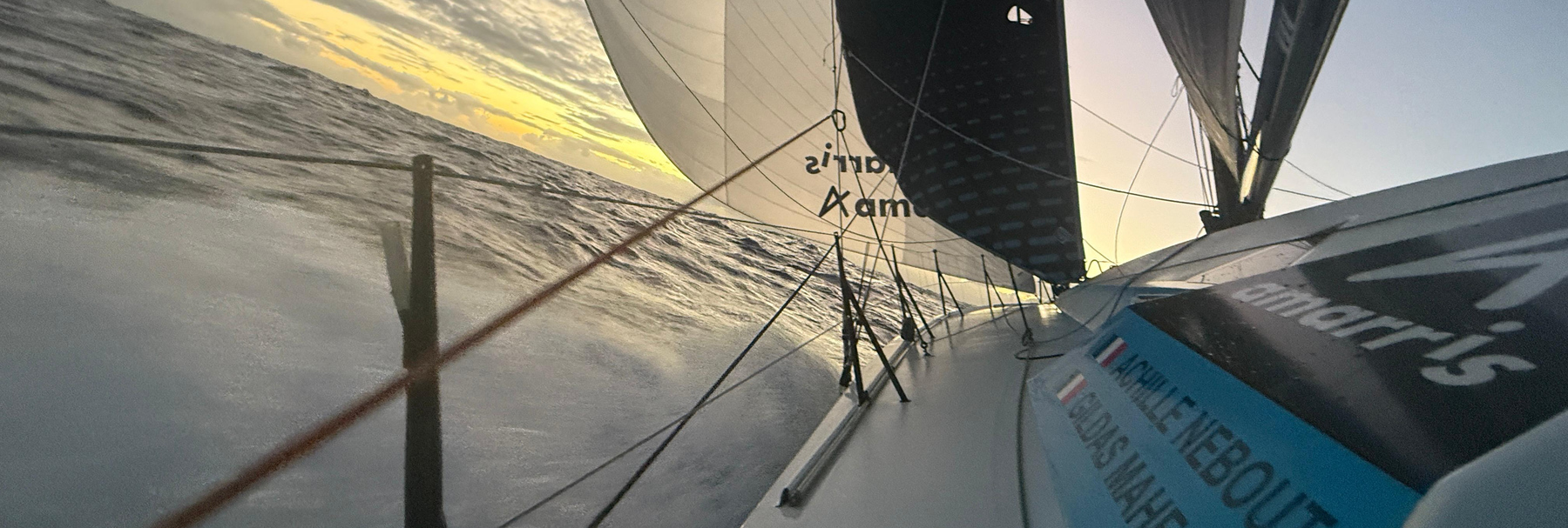 c40_Amarris_Amarris10112