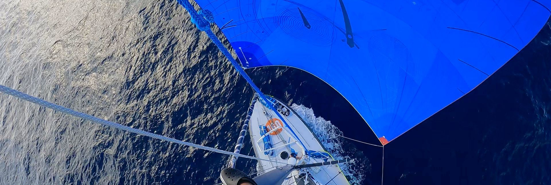 c40_Reaute_20251107_4456