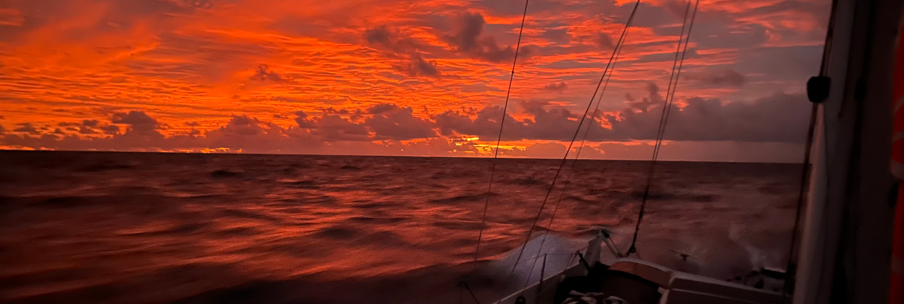 c40_SeaFrigo_IMG_8557