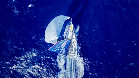 imo_MsIgEurope_8dc8389e