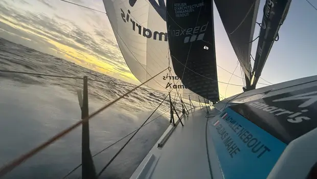 c40_Amarris_Amarris10112