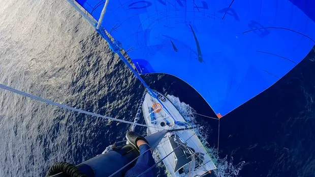 c40_Reaute_20251107_4456