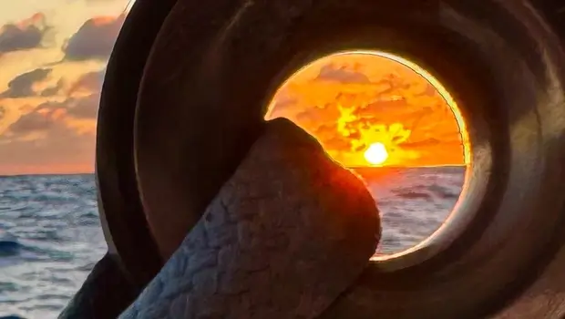 imoNewEurope_20251108_5403