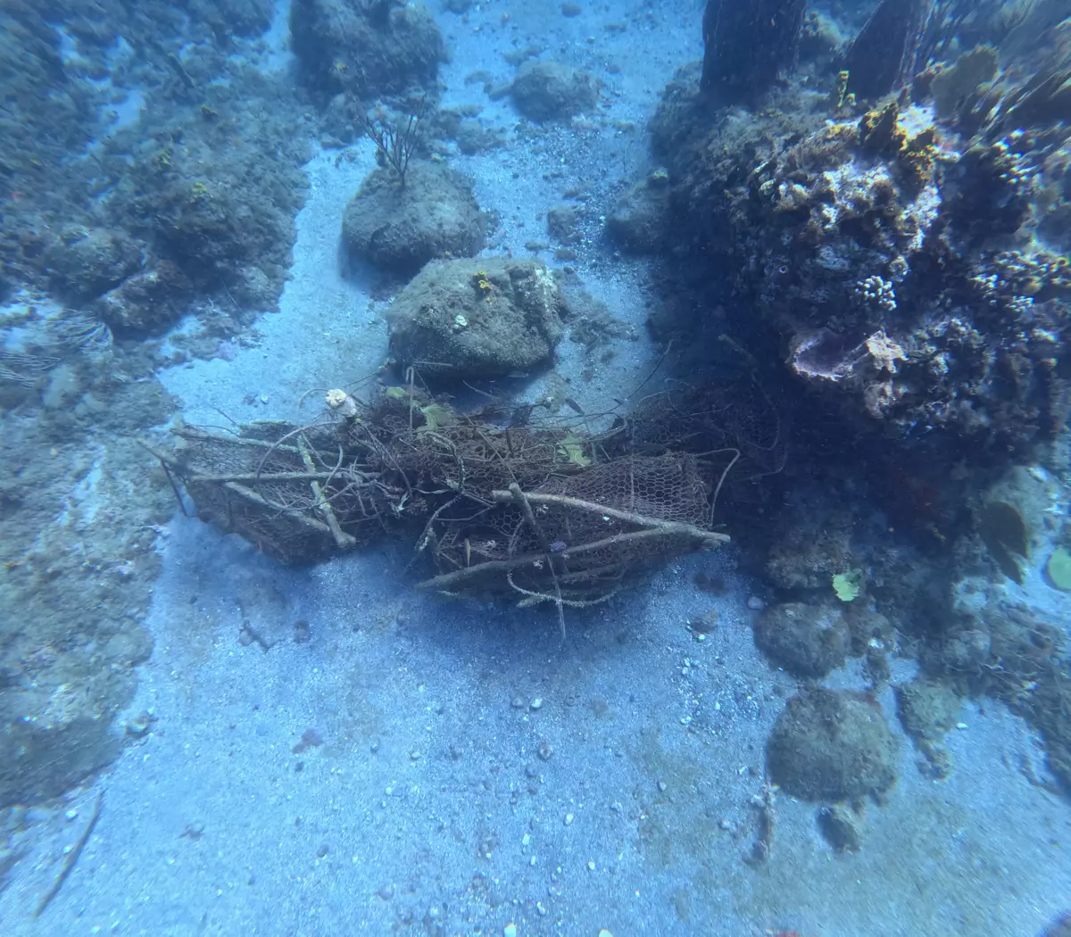 Débris d’engins de pêche perdus ou abandonnés au fond de l’eau
