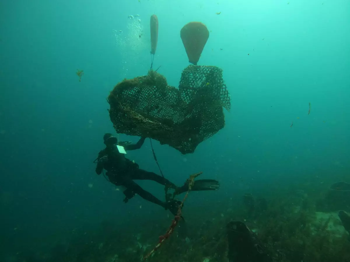 Ramassage des déchets signalés par les équipes de Fish&Click et de l’Asso-Mer