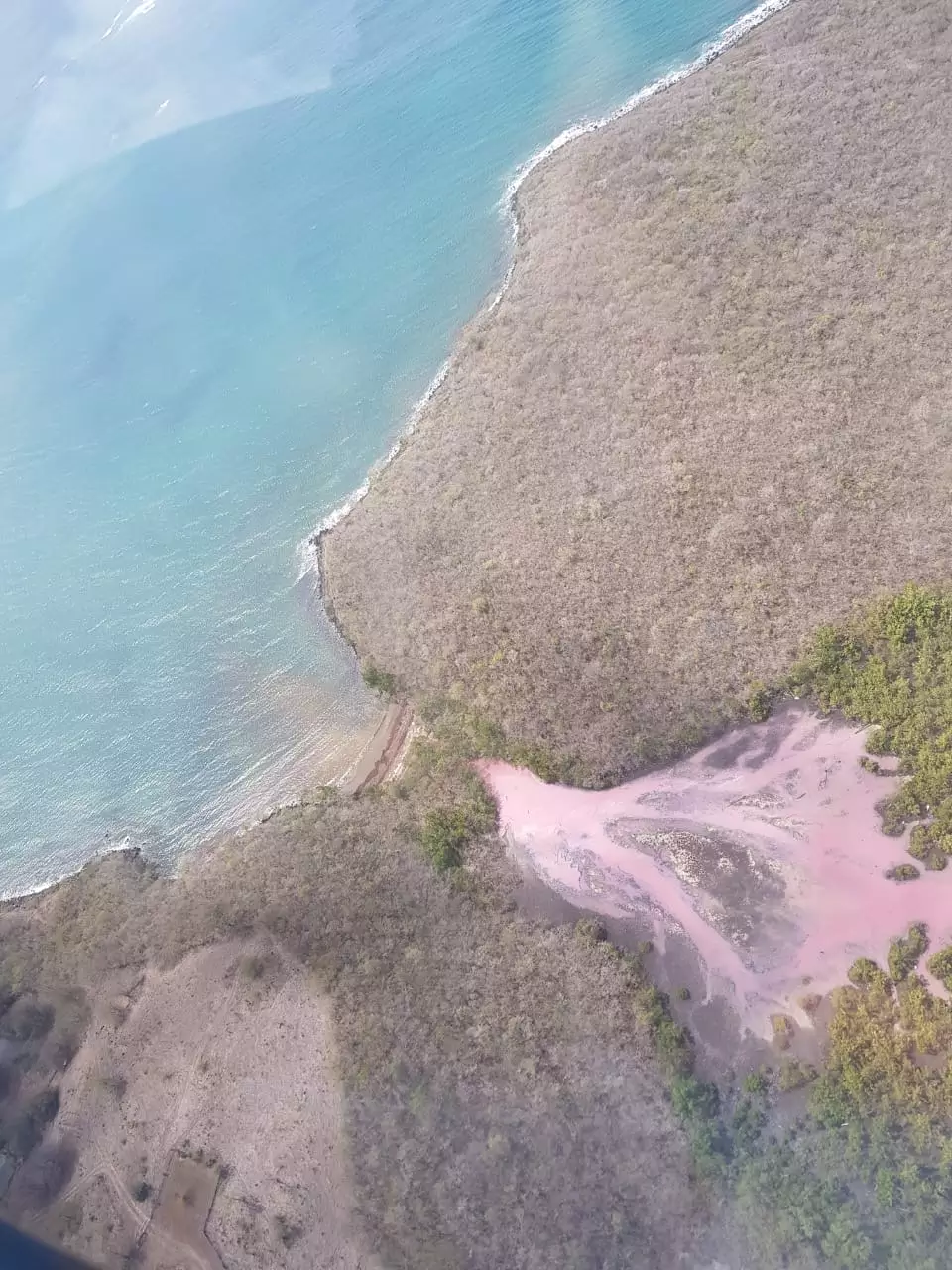 Vue aérienne du phénomène de mangroves roses