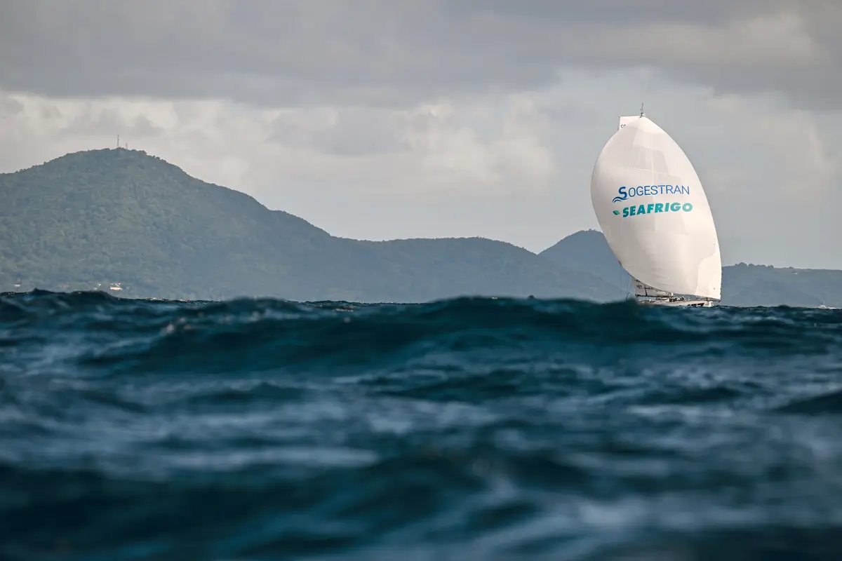 Seafrigo - Sogestran au Rocher du Diamant