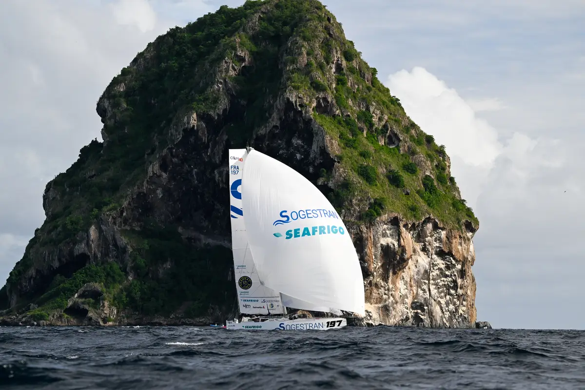 Seafrigo - Sogestran au Rocher du Diamant